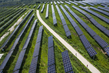 Sustainable Energy: il ruolo del settore assicurativo nella transizione energetica.